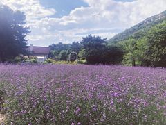 -云峰山自然风景区