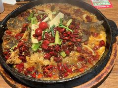 -老板恋上鱼(恒隆广场店)