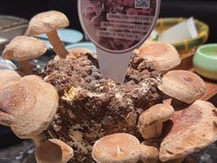 -捞王锅物料理(金华义乌之心店)