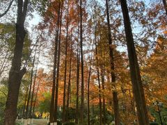 -苏州河梦清园环保主题公园