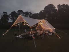 -春花秋色城市公园