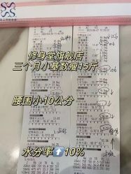 -Fundi张玉珊修身堂·indiba·BTL科技瘦身