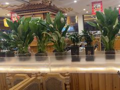 -大清花饺子(山庄店)