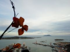 -柴犬小屋·柴餐厅·狗咖食堂(金鼎广场店)