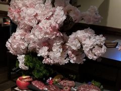 樱宿樱舞套餐-樱宿日式和牛烧肉(五道口店)