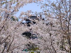 -幕燕滨江·燕子矶公园