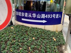 -复旦大学附属华山医院(总院)