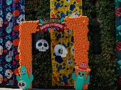 -大连海昌发现王国主题公园