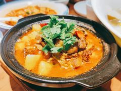 砂锅焖牛腩-有红鸡毛店·川菜(建设路店)