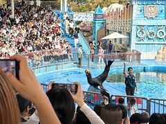 -华夏文旅海洋公园