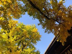 -红螺寺