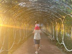 -渔岛海洋度假区