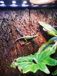 -酷嗒动物文化乐园(cutezoo西溪乐天城店)