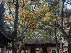 -秋霞圃