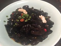 凉拌关东木耳-俏江南天津时尚曲艺主题餐厅(马场道店)