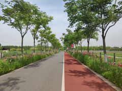 -上海长兴岛郊野公园