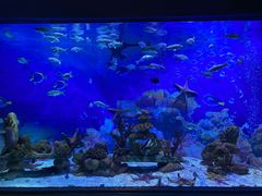 -海合安成都极地海洋公园