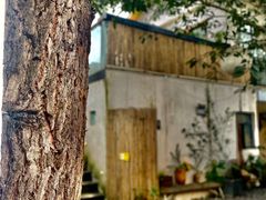 -云里小坐·小院里·团建·宴请·下午茶(三圣乡店)