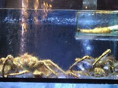 -金翠皇宫粤菜·点心·海鲜(翡翠店)