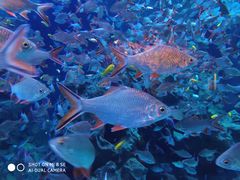 -成都浩海立方海洋公园