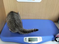 -谐和贝康宠物医院24小时·宠保定点(急重症转诊中心)