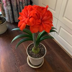 -Oasis Beauty水磨坊科技美肤中心