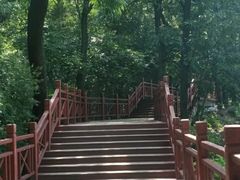 -紫金山山顶公园
