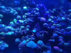 -太平洋海底世界