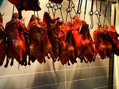 -守柴炉烤鸭(科华中路王府井店)