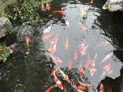 -杭州西湖柳莺里酒店