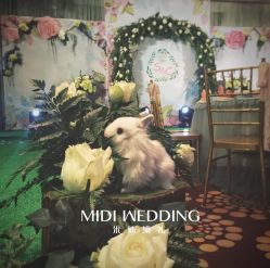 -米迪婚礼