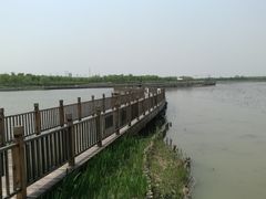 -天津东丽湖风景区