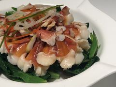 -至潮餐厅精致粤菜·活鲈鱼·走地鸡(珠江新城店)