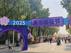 -高东镇樱花园