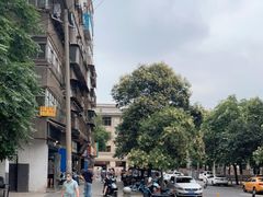 -刘老虎肉丸糊辣汤(总店)