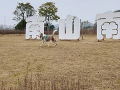 -南山植物园