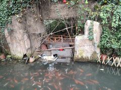-第五季龙水凤港生态露营农场