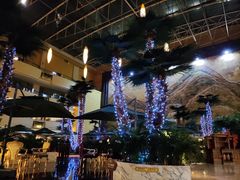 -铂丽斯国际大酒店-凯悦自助餐厅