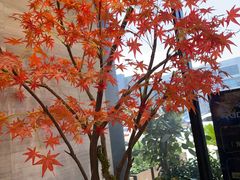 -唐宫足道·SPA·住宿24H会所(木渎店)