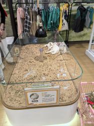 -小象动悟公园(龙湖亦庄天街店)
