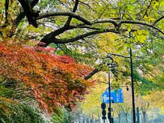 -阿里中心·杭州Z空间