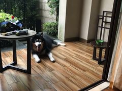 -上海崇明金茂凯悦酒店