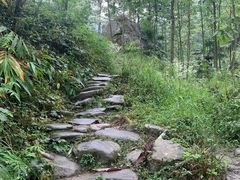 -龙窝子