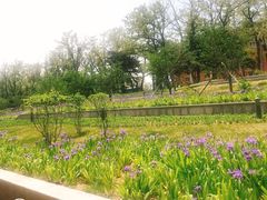 -大连理工大学(凌水校区)