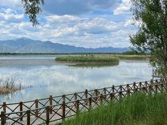 -野鸭湖国家湿地公园