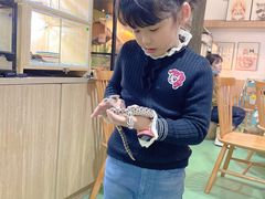 -藦茜花园宠物主题亲子互动体验馆(国顺东路店)