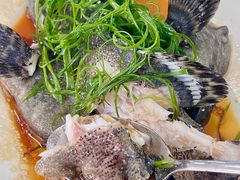 -双月饭店·20年老字号(新村店)