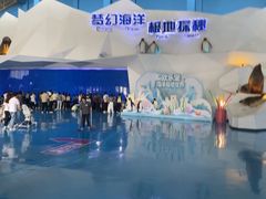 -泉城欧乐堡海洋极地世界