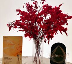 -Fundi张玉珊修身堂·indiba·BTL科技瘦身