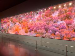 -罗红摄影艺术馆